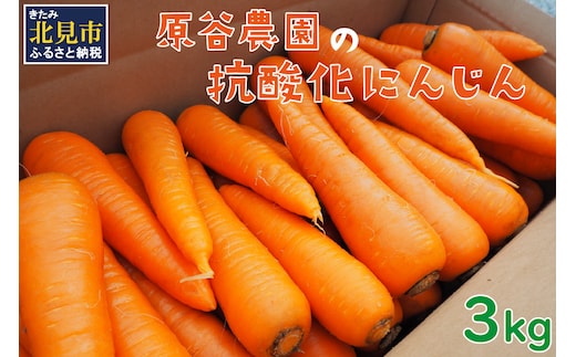 【予約：2026年8月下旬から順次発送】原谷農園の抗酸化にんじん 3kg ( 野菜 人参 農園 期間限定 ふるさと納税 )【058-0006-2026】