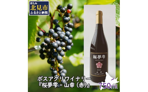【オホーツクブランド認証ワイン】北見産ぶどう100％のワイン 桜夢雫 山幸(赤)( 山幸 赤 ワイン 北見市産ぶどう ぶどう 赤ワイン オホーツク ディナー )【075-0006-2023】