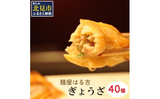 麺屋はる吉 冷凍ぎょうざオリジナル 40個入×1袋 ( 加工品 餃子 ぎょうざ 北海道 ふるさと納税 ギョーザ )【082-0005】