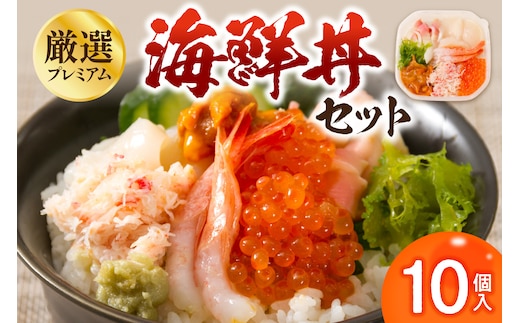厳選！プレミアム海鮮丼セット10個入 ( うに ウニ 雲丹 貝 かい 海鮮丼 海鮮 魚介類 丼 プレミアム セット ふるさと納税 )【094-0101】