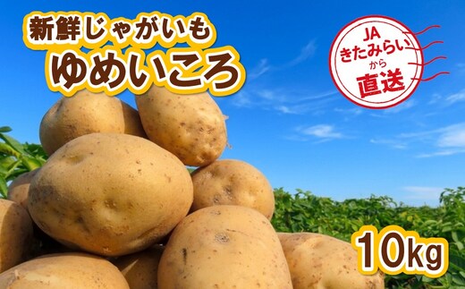 【予約：2026年10月上旬から順次発送】JAきたみらいから直送する新鮮じゃがいも「ゆめいころ」10kg (JAきたみらい JA 直送 じゃがいも いも 芋 ジャガイモ)【104-0019】
