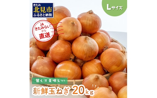 ☆日本農業賞大賞受賞☆JAきたみらいから直送する甘くて美味しい新鮮玉ねぎ 20kg Lサイズ ( たまねぎ 野菜 北海道 玉葱 )【104-0008-2025】