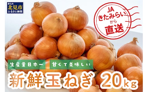 【予約：2026年10月中旬から順次発送】JAきたみらいから直送する甘くて美味しい新鮮玉ねぎ 20kg Lサイズ以上 ( たまねぎ 野菜 北海道 玉葱 )【104-0008-2026】