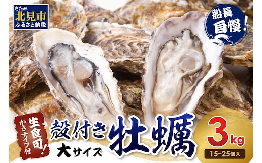 サロマ湖自慢の殻付きカキ貝 大 3kg詰め ( 牡蠣 かき 濃厚 大きい 魚介類 貝類 殻付 殻付き牡蠣 BBQ バーベキュー )【114-0072-2025】