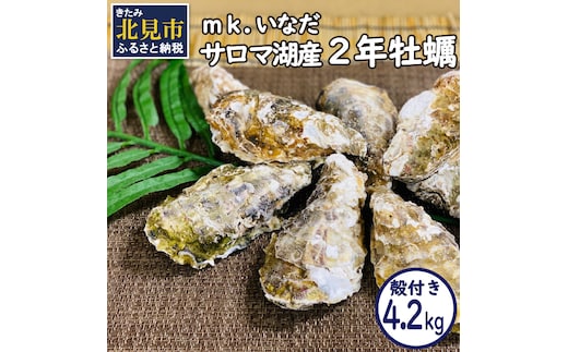 【予約：2025年10月下旬から順次発送】サロマ湖産 殻付き2年牡蠣 4.2kg サイズ不揃い ※牡蠣ナイフ付 ( カキ かき 4.2キロ 魚介 海鮮 貝 ふるさと納税 BBQ バーベキュー )【113-0014-2025】