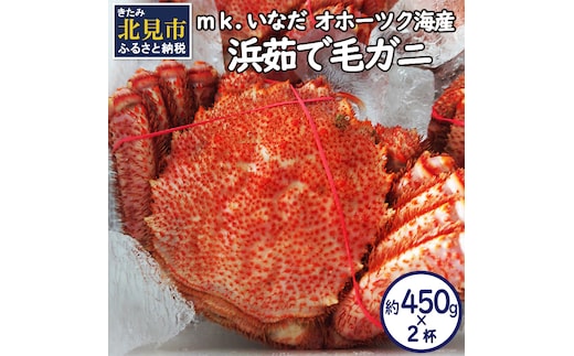 オホーツク海産 浜茹で毛ガニ 約450g×2杯 ( 海鮮 かに カニ 蟹 毛ガニ ボイル 贈答 ギフト )【113-0013】
