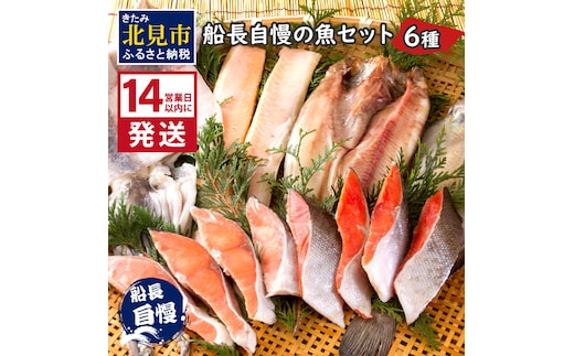 《14営業日以内に発送》船長自慢の海鮮セット ( 海鮮セット 海鮮 魚介類 ホッケ ナメタガレイ いか サーモン 鮭 時鮭 紅鮭 )【114-0065】