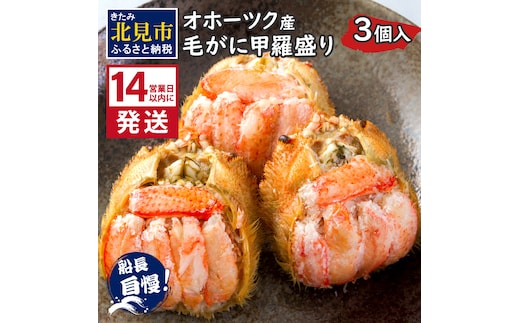 《14営業日以内に発送》船長自慢のオホーツク産毛がにの甲羅盛り 3個入り 冷凍 ( 毛ガニ 毛がに 毛蟹 蟹 かに カニ 甲羅盛り オホーツク海 北海道 北見市 ふるさと納税 グラタン チーズ カニ身 )【114-0073】