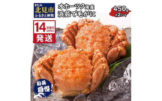 《14営業日以内に発送》オホーツク海産 浜茹で毛がに 450g×2ハイ 冷凍 ( かに カニ 毛ガニ 魚介類 蟹 )【114-0031-2025】