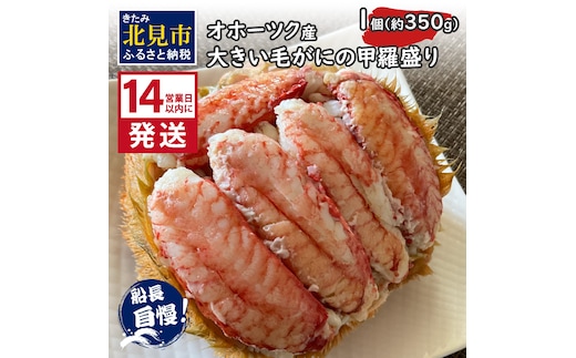 《14営業日以内に発送》オホーツク産 大きい毛がにの甲羅盛り 1個入り 冷凍 ( 毛がに かに カニ 蟹 魚介類 北海道 旨い逸品 チーズ グラタン オホーツク海 )【114-0040】