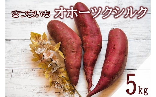 【予約：2025年11月中旬から順次発送】北海道北見市常呂町産 サツマイモ オホーツクシルク 5kg ( さつまいも さつま芋 焼き芋 大学芋 )【111-0001】