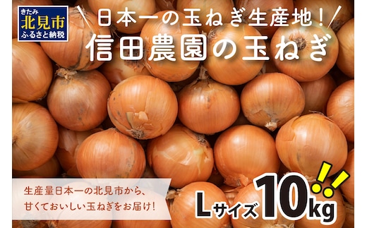 【予約：2026年10月中旬から順次発送】日本一の玉ねぎ生産地！信田農園の玉ねぎ 10kg Lサイズ ( 信田農園 野菜 玉ねぎ 玉葱 たまねぎ タマネギ 10キロ 北見のたまねぎ オニオン 野菜 甘い ふるさと納税 )【124-0006-2026】
