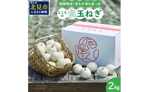 【予約：2026年7月中旬から順次発送】ところの白玉ねぎ 2kg ( 玉ねぎ タマネギ 玉葱 野菜 白玉ねぎ 2キロ 期間限定 辛みが少ない 生食 )【121-0013-2026】