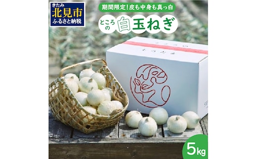 【予約：2026年7月中旬から順次発送】ところの白玉ねぎ 5kg ( 玉ねぎ タマネギ 玉葱 野菜 白玉ねぎ 5キロ 期間限定 辛みが少ない 生食 )【121-0005-2026】