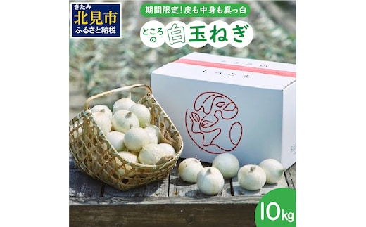 【予約：2026年7月中旬から順次発送】ところの白玉ねぎ 10kg ( 玉ねぎ タマネギ 玉葱 野菜 白玉ねぎ 10キロ 期間限定 辛みが少ない 生食 )【121-0008-2026】