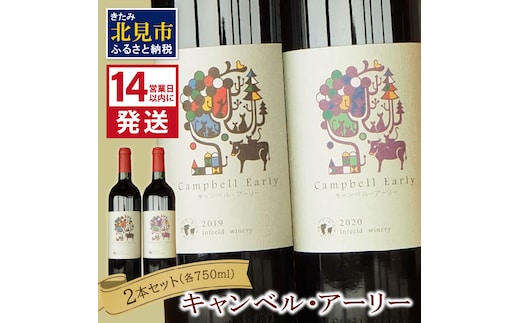 《14営業日以内に発送》キャンベル・アーリー2本セット ( ワイン お酒 酒 ぶどう セット )【138-0004】