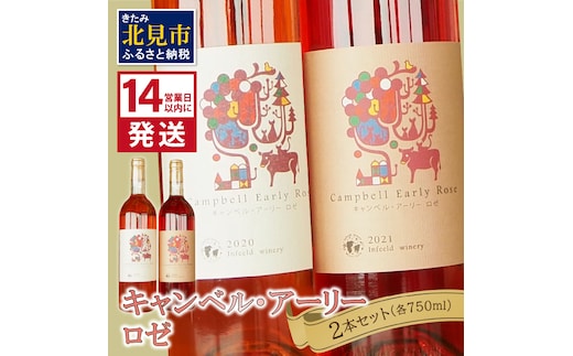 《14営業日以内に発送》キャンベル・アーリーロゼ2本セット ( ワイン お酒 酒 ぶどう セット )【138-0005】