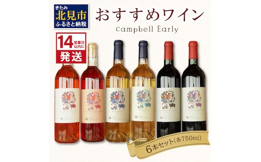 《14営業日以内に発送》おすすめワイン6本セット ( ワイン お酒 酒 ぶどう セット )【138-0007】