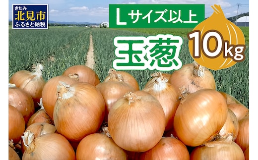 【予約：2026年11月から順次発送】玉葱 10kg Lサイズ以上 ( 玉ねぎ たまねぎ タマネギ 野菜 10キロ ふるさと納税 玉ねぎ生産量日本一 北見市産 )【148-0014-2026】