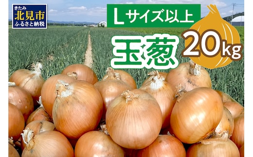 【予約：2026年11月から順次発送】玉葱 20kg Lサイズ以上 ( 玉ねぎ たまねぎ 野菜 20キロ 期間限定 ふるさと納税 玉ねぎ生産量日本一 北見市産 )【148-0007-2026】