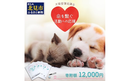 【犬猫等愛護活動、命を繋ぐ活動への応援】北見市犬猫愛護協議会グッズ ( いぬ ねこ 保護 地域猫 雑貨 文房具 セット 動物愛護 愛護 )【144-0003】