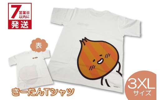 《7営業日以内に発送》きーたんTシャツ 3XLサイズ ( Tシャツ シャツ トップス 3XL イラスト 可愛い )【165-0015】