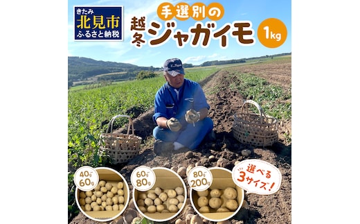 【予約：2026年2月上旬から順次発送】【選べる3サイズ】宇野さんの手拾い、手選別の越冬ジャガイモ 1kg ( 芋 野菜 選べる )【167-0001-2026】