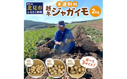 【予約：2026年2月上旬から順次発送】【選べる3サイズ】宇野さんの手拾い、手選別の越冬ジャガイモ 2kg ( 芋 野菜 選べる )【167-0002-2026】