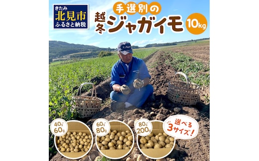 【予約：2026年2月上旬から順次発送】【選べる3サイズ】宇野さんの手拾い、手選別の越冬ジャガイモ 10kg ( 芋 野菜 選べる )【167-0004-2026】