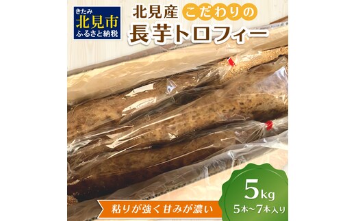 【予約：2025年11月下旬から順次発送】北見産 こだわりの長芋トロフィー 5kg箱 ( 長いも ながいも 野菜 数量限定 期間限定 5キロ )【169-0001-2025】