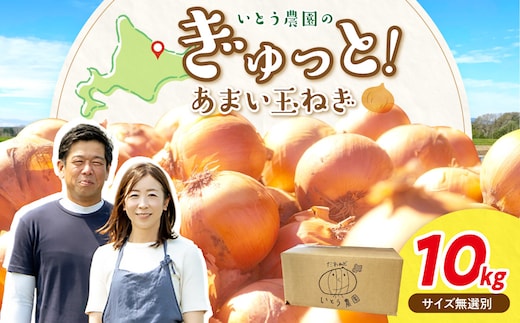 【予約：2026年9月下旬から順次発送】いとう農園の玉ねぎ 10kg ( 玉葱 タマネギ 野菜 期間限定 数量限定 10キロ )【181-0002-2026】