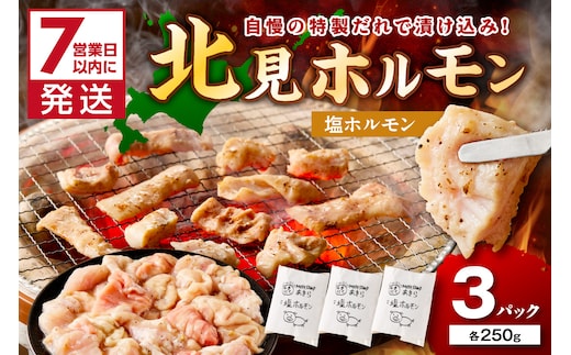 《7営業日以内に発送》北見塩ホルモン 250g×3パック ( 焼肉 ホルモン 肉 にく 塩 )【205-0002】