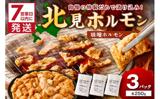 《7営業日以内に発送》北見味噌ホルモン 250g×3パック ( 焼肉 ホルモン 肉 にく みそ 味噌 )【205-0003】