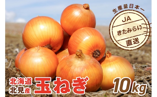 JAきたみらい産 玉ねぎ Lサイズ 10kg ( タマネギ たまねぎ 野菜 )【210-0003】