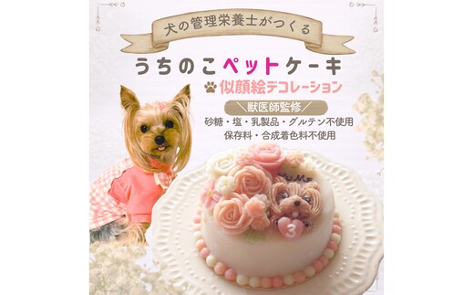 犬の栄養管理士がつくる うちの子ペットケーキ 3号 ( 似顔絵 デコレーション 犬用 ケーキ 犬用ケーキ 3号 犬 いぬ )【232-0001】