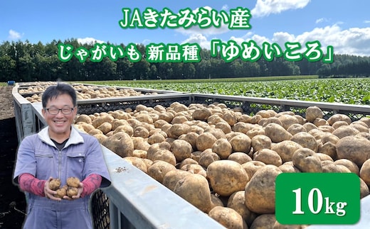 【予約：2026年12月～2027年1月発送】JAきたみらい産 じゃがいも 新品種「ゆめいころ」 10kg 冷蔵 ( じゃがいも いも 芋 JA 北海道産 )【236-0002】