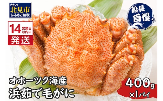 《14営業日以内に発送》オホーツク海産 浜茹で毛がに 400g×1パイ 冷凍 ( かに カニ 毛ガニ 魚介類 蟹 )【114-0012-2025】