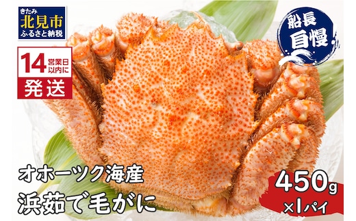 《14営業日以内に発送》オホーツク海産 浜茹で毛がに 450g×1パイ 冷凍 ( かに カニ 毛ガニ 魚介類 蟹 )【114-0019-2025】