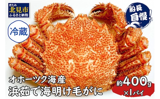 【予約：2026年3月下旬から順次発送】【旬の浜ゆで毛ガニを冷蔵便で】オホーツク海産 浜茹で海明け毛がに 約400g×1パイ 冷蔵 ( かに 蟹 魚介類 海鮮 )【114-0017-2026】
