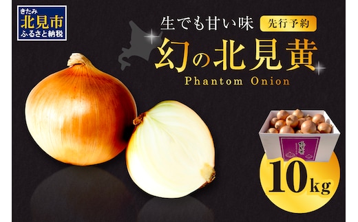 【予約：2026年9月下旬から順次発送】幻の北見黄 北海道北見産 10kg ( 野菜 たまねぎ 玉ねぎ タマネギ Lサイズ 10キロ 詰合せ )【002-0004-2026】