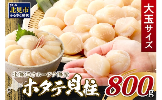 【2026年1月発送】北海道オホーツク海産 ホタテ貝柱 800g 生食用 大玉サイズ ( 海鮮 魚介 魚介類 貝 貝類 帆立 ほたて お刺身 刺身 貝柱 海鮮丼 帆立貝柱 人気 ふるさと納税 ホタテ )【037-0015】