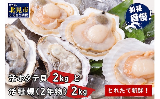 【予約：2025年10月中旬から順次発送】とれたて新鮮！活ホタテ貝2kgと活牡蠣2年物2kg ( 海鮮 魚介 貝 帆立 ほたて ホタテ カキ かき 牡蠣 セット BBQ )【114-0014-2025】