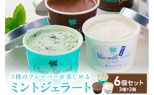 ミントジェラート カップ 3種×2個 ( ジェラート アイス アイスクリーム ハッカ チョコ ミント ミントアイス スイーツ チョコチップミント カカオ カップアイス ふるさと納税 )【007-0010】
