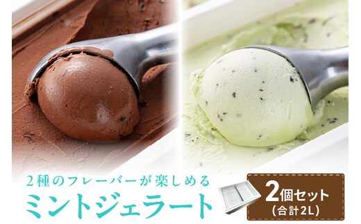 ミントジェラート1L 2種×1個 ( ジェラート アイス アイスクリーム ハッカ チョコ ミント ミントアイス スイーツ チョコチップミント カカオ ふるさと納税 )【007-0017】