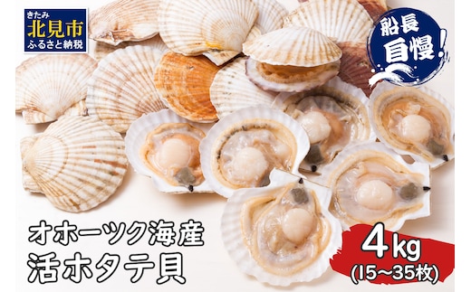 【予約：2026年4月から順次発送】とれたて新鮮！オホーツク海産 活ホタテ貝 4kg 15～35枚 ( 魚介 海鮮 貝 帆立 ほたて ホタテ 4キロ カレー シチュー 肉厚 )【114-0048-2026】