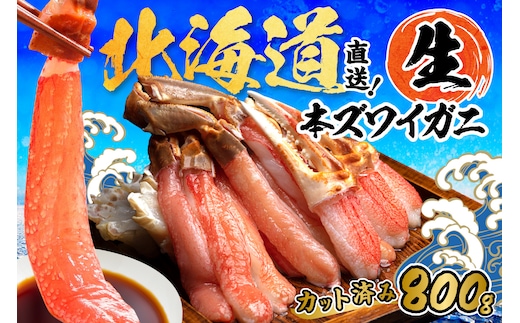 北見市加工 生冷本ズワイガニセット 800g 昆布入 ( 海鮮 魚介類 魚介 蟹 かに カニ セット 鍋 カニ鍋 カニ爪 ズワイガニ かにしゃぶ カット済 贈答 ギフト 熨斗 のし ふるさと納税 )【094-0080】