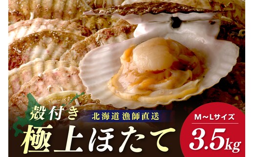【予約：2026年3月下旬から順次発送】北海道オホーツク産 漁師直送 殻付きプレミアムホタテ 3.5kg ( 魚介 海鮮 貝 ホタテ ほたて 帆立 生食 炙り焼き バター焼き )【197-0001-2026】
