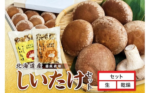 【木箱入】北海道産 生しいたけ(菌床) 乾しいたけ(ひと口・スライス)セット ( きのこ キノコ 椎茸 シイタケ )【038-0008】