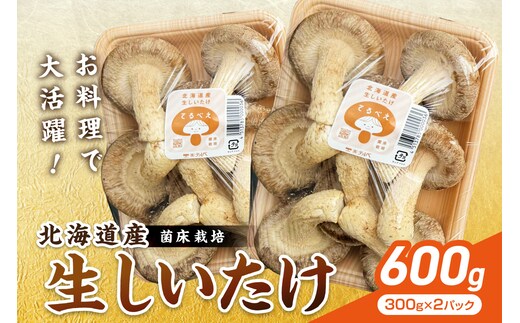 北海道産 生しいたけ(菌床) 2パック ( きのこ キノコ 椎茸 シイタケ )【038-0012】