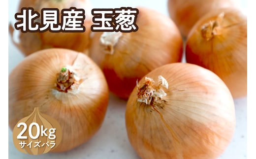 【予約：2026年10月下旬から順次発送】北見産玉ねぎ 20kg ( 機能性玉葱 サイズバラ 玉ねぎ たまねぎ タマネギ 玉葱 オニオン ケル玉 野菜 北海道 長期貯蔵 )【133-0002-2026】